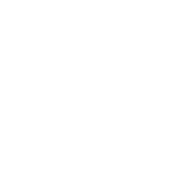 Burn Option